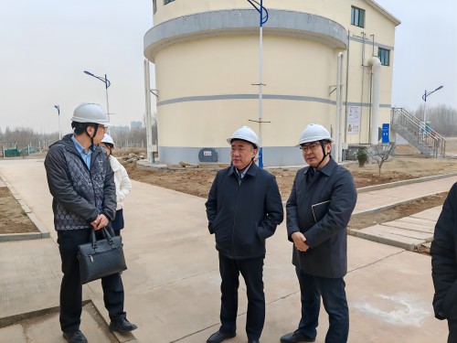 1709800064863876.jpg 5.jpg